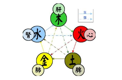 五行相生相克|五行（对万事万物的取象比类）